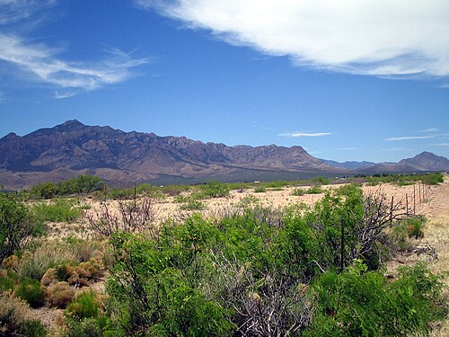 Chiricahua Mountains